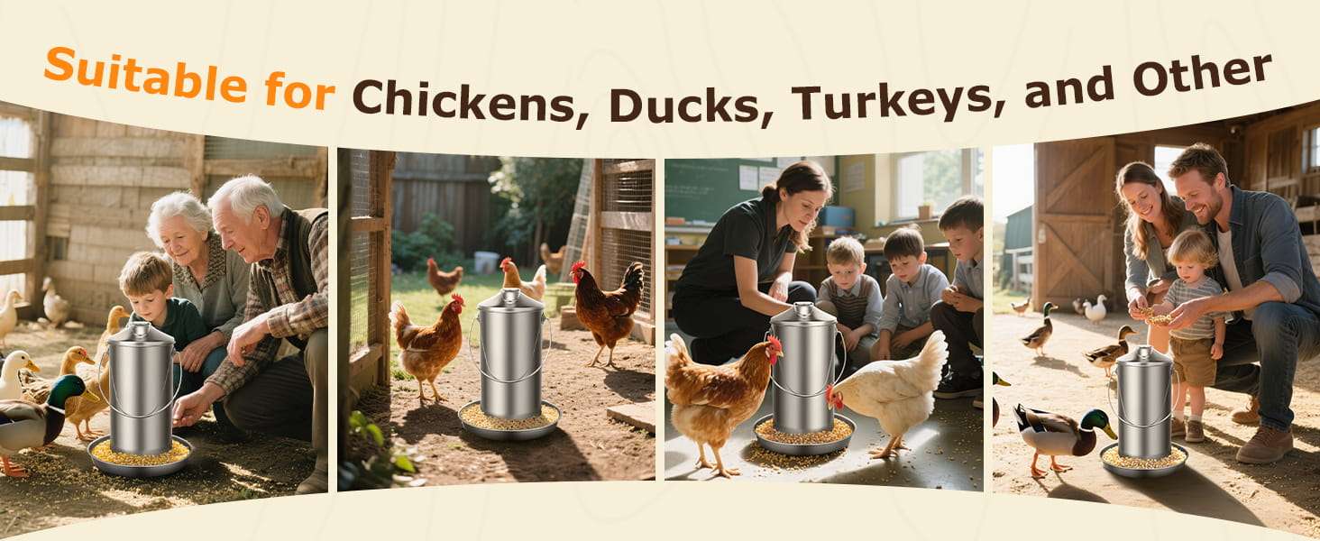 Comedero colgante de 4 kg para gallinas en acero inoxidable 304 resistente a la lluvia y anti desperdicio.