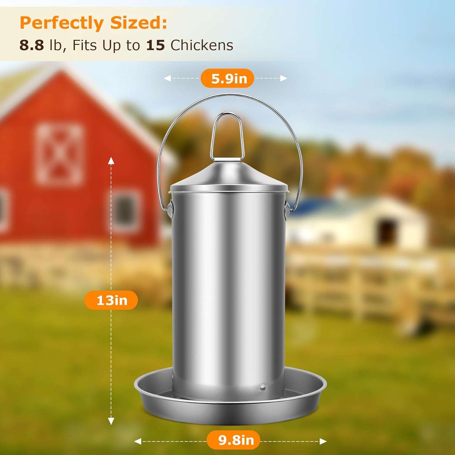 Comedero colgante de 4 kg para gallinas en acero inoxidable 304 resistente a la lluvia y anti desperdicio.