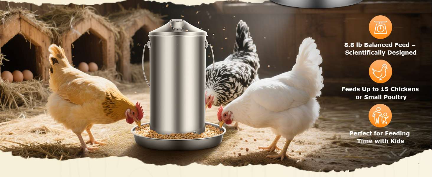 Comedero colgante de 4 kg para gallinas en acero inoxidable 304 resistente a la lluvia y anti desperdicio.