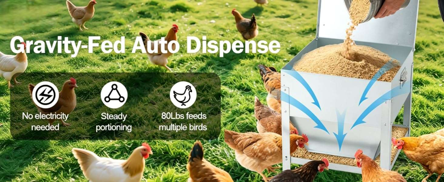 Comedero tolva de 36 kg acero galvanizado con patas elevadas y tapa de bloqueo anti lluvia para gallinas.