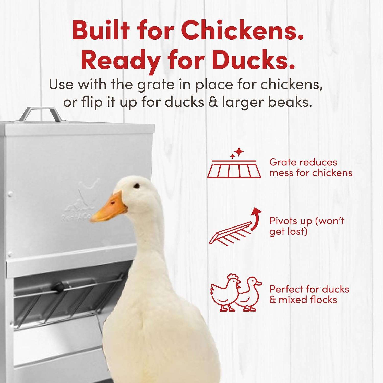 Comedero tolva de acero galvanizado para gallinas disponible en 4.5 kg 11 kg y 23 kg montaje en muro.
