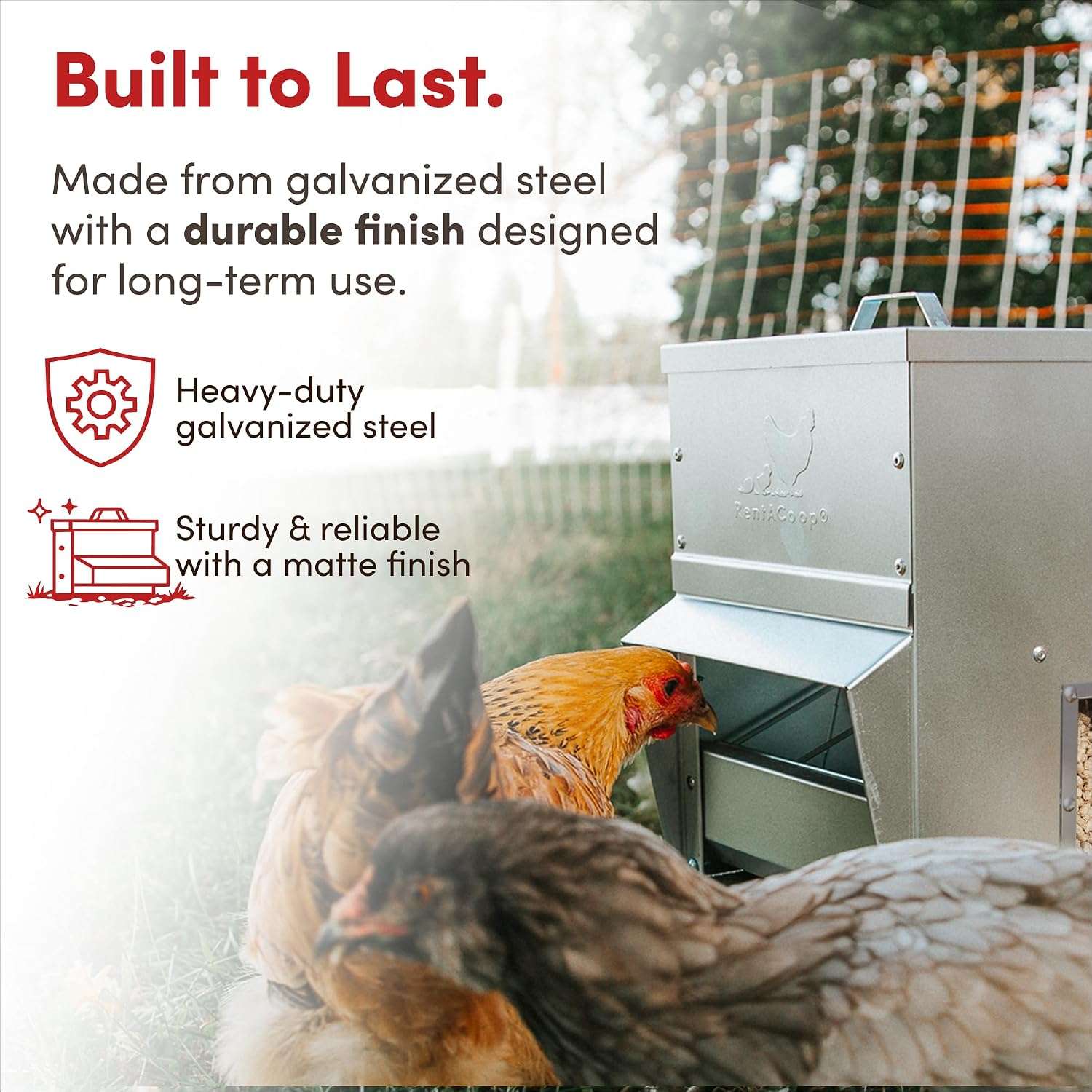 Comedero tolva de acero galvanizado para gallinas disponible en 4.5 kg 11 kg y 23 kg montaje en muro.