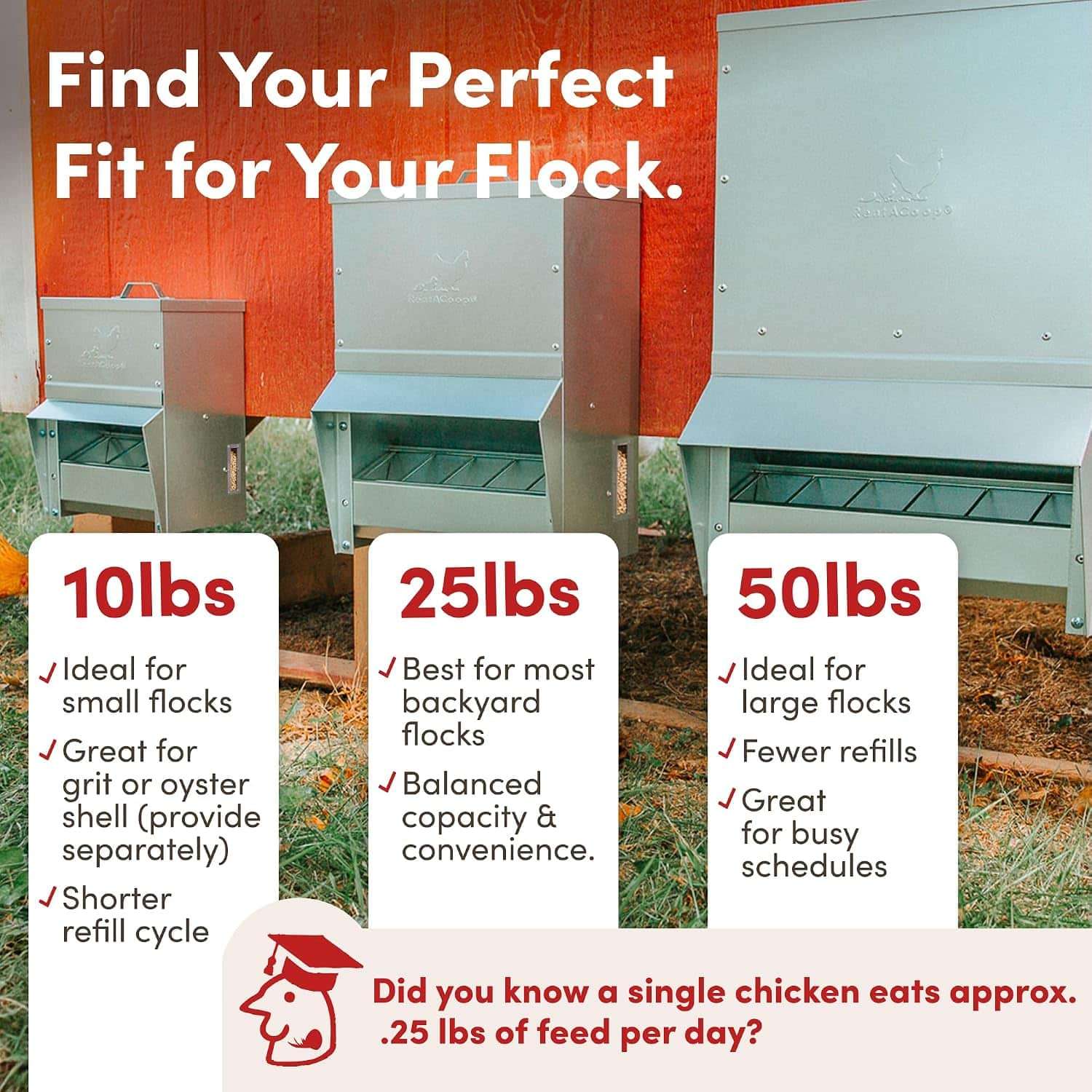 Comedero tolva de acero galvanizado para gallinas disponible en 4.5 kg 11 kg y 23 kg montaje en muro.