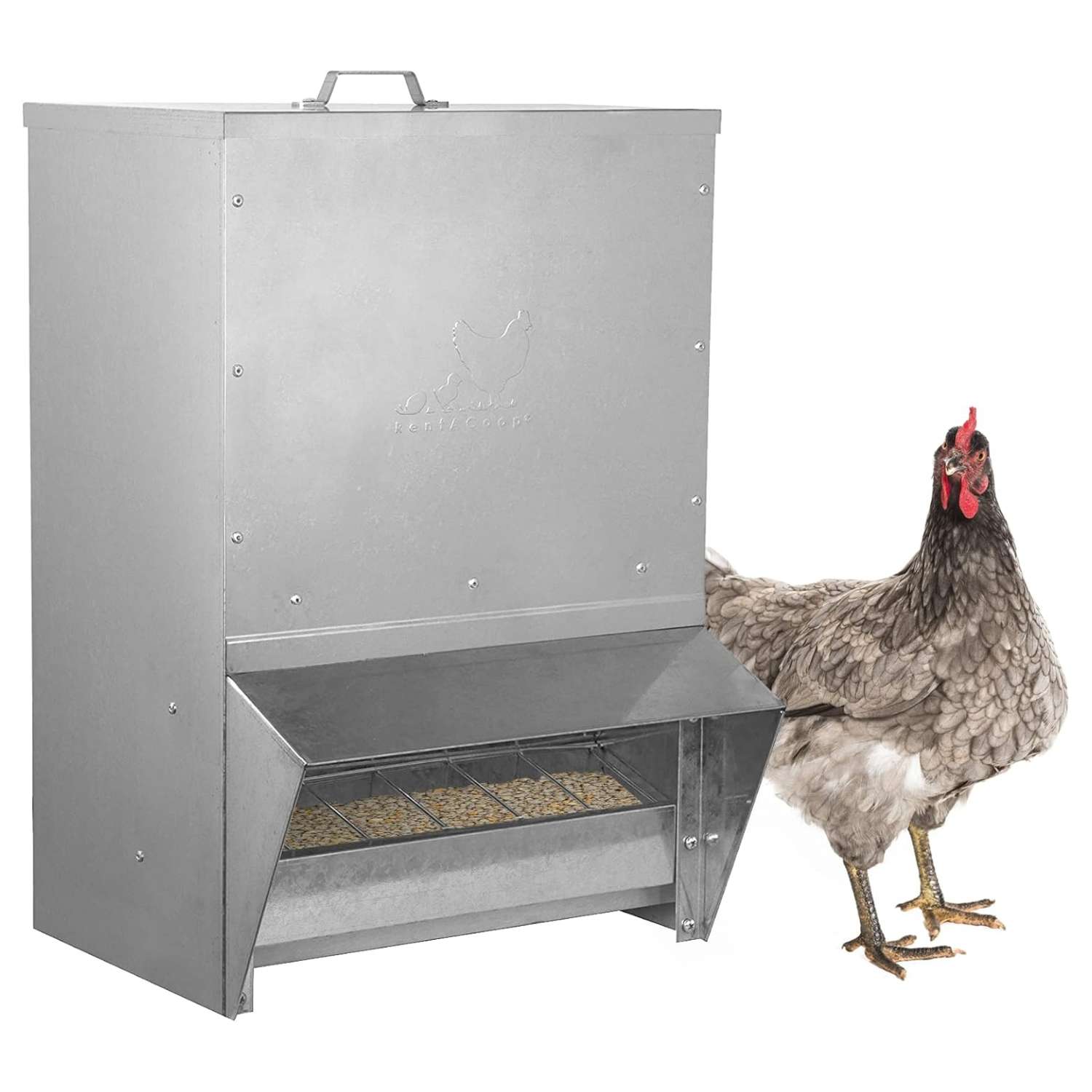 Comedero tolva de acero galvanizado para gallinas disponible en 4.5 kg 11 kg y 23 kg montaje en muro.