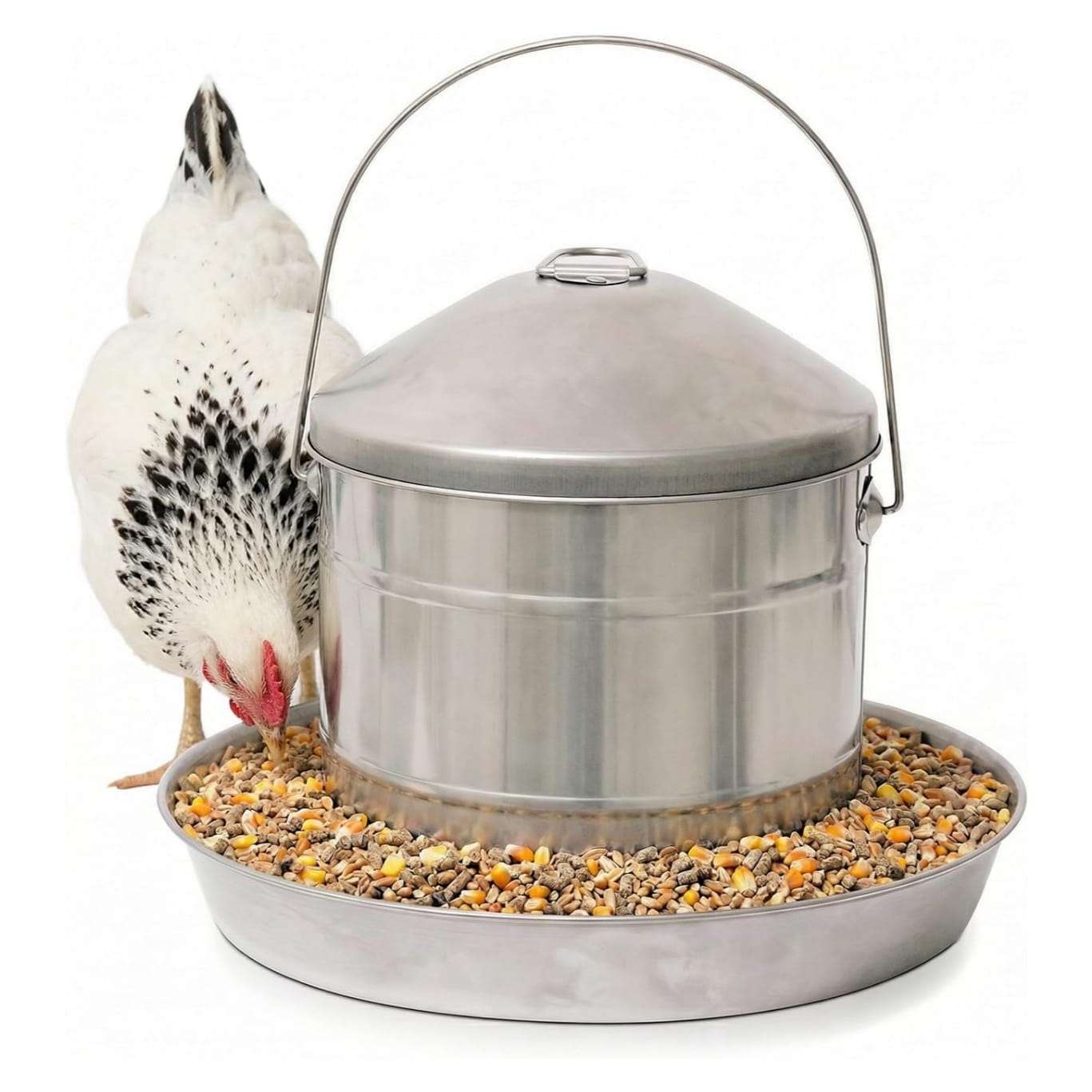 Comedero tolva de acero inoxidable para gallinas disponible en 3 kg 4 kg y 8 kg resistente al oxido.