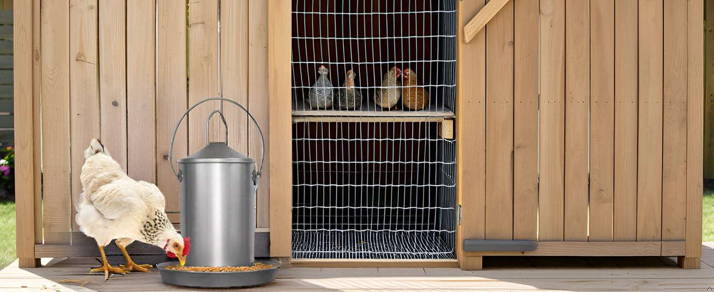 Comedero tolva de acero inoxidable para gallinas disponible en 3 kg 4 kg y 8 kg resistente al oxido.