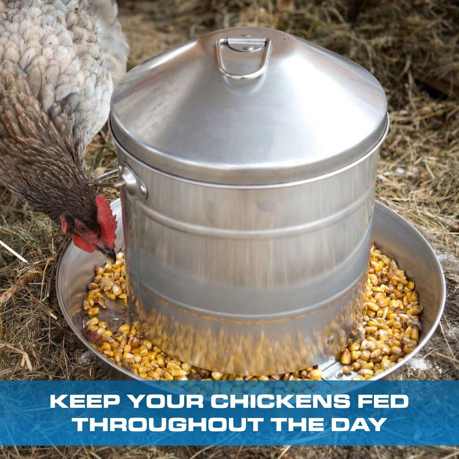 Comedero Tolva Gallinas Acero Inoxidable 3, 4 y 8 Kg Anti Desperdicio - Imagen 8