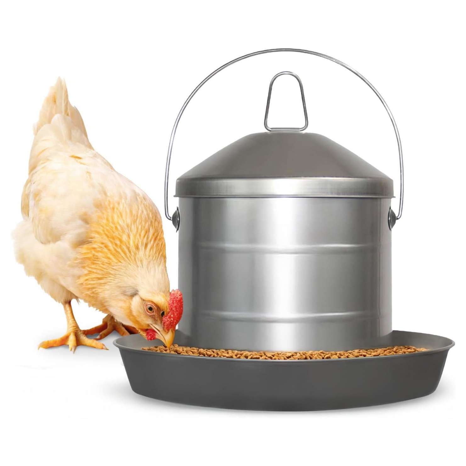 Comedero tolva de acero inoxidable para gallinas disponible en 3 kg 4 kg y 8 kg resistente al oxido.