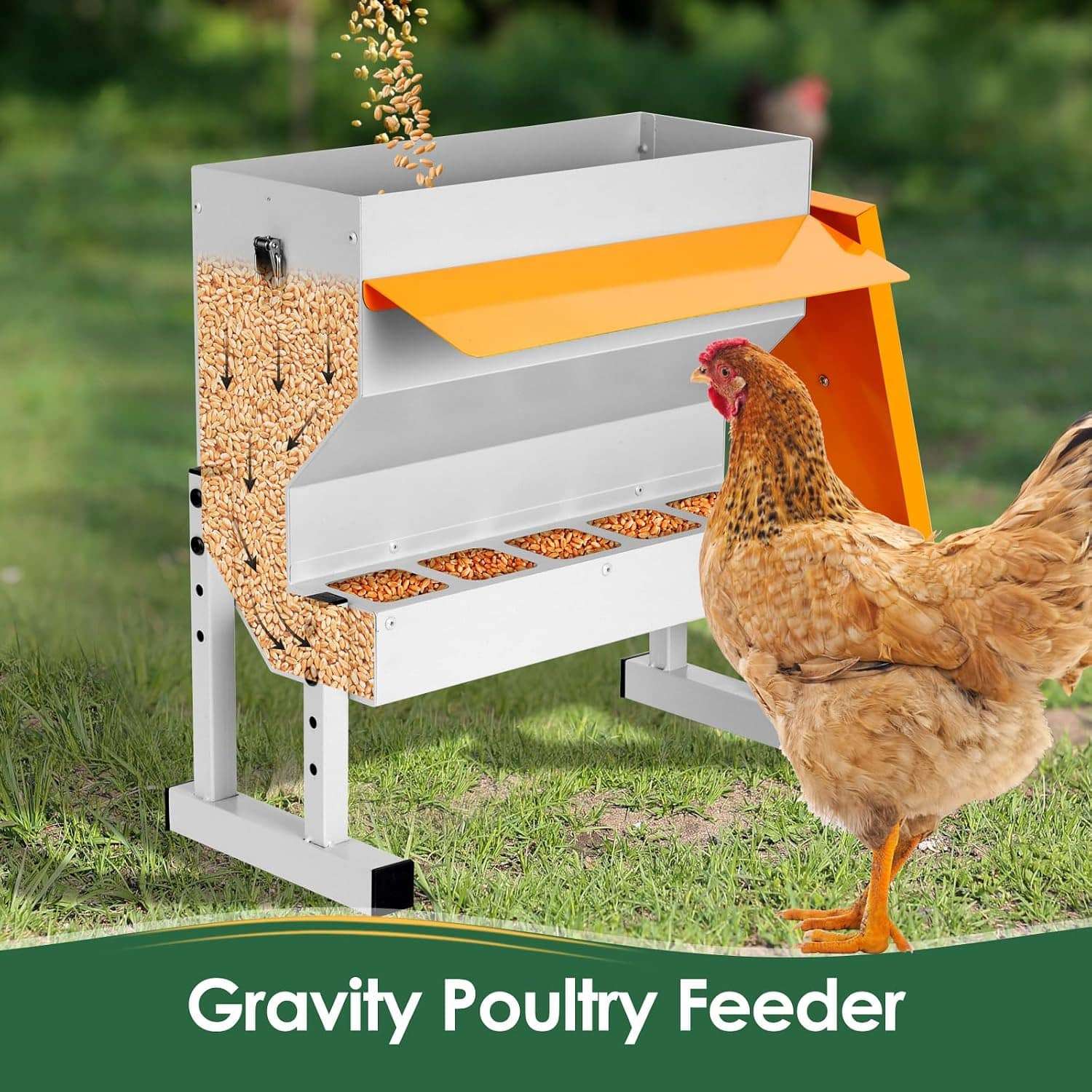 Comedero tolva metalico de 9 kg para gallinas y patos con 5 puertos y patas ajustables anti lluvia.