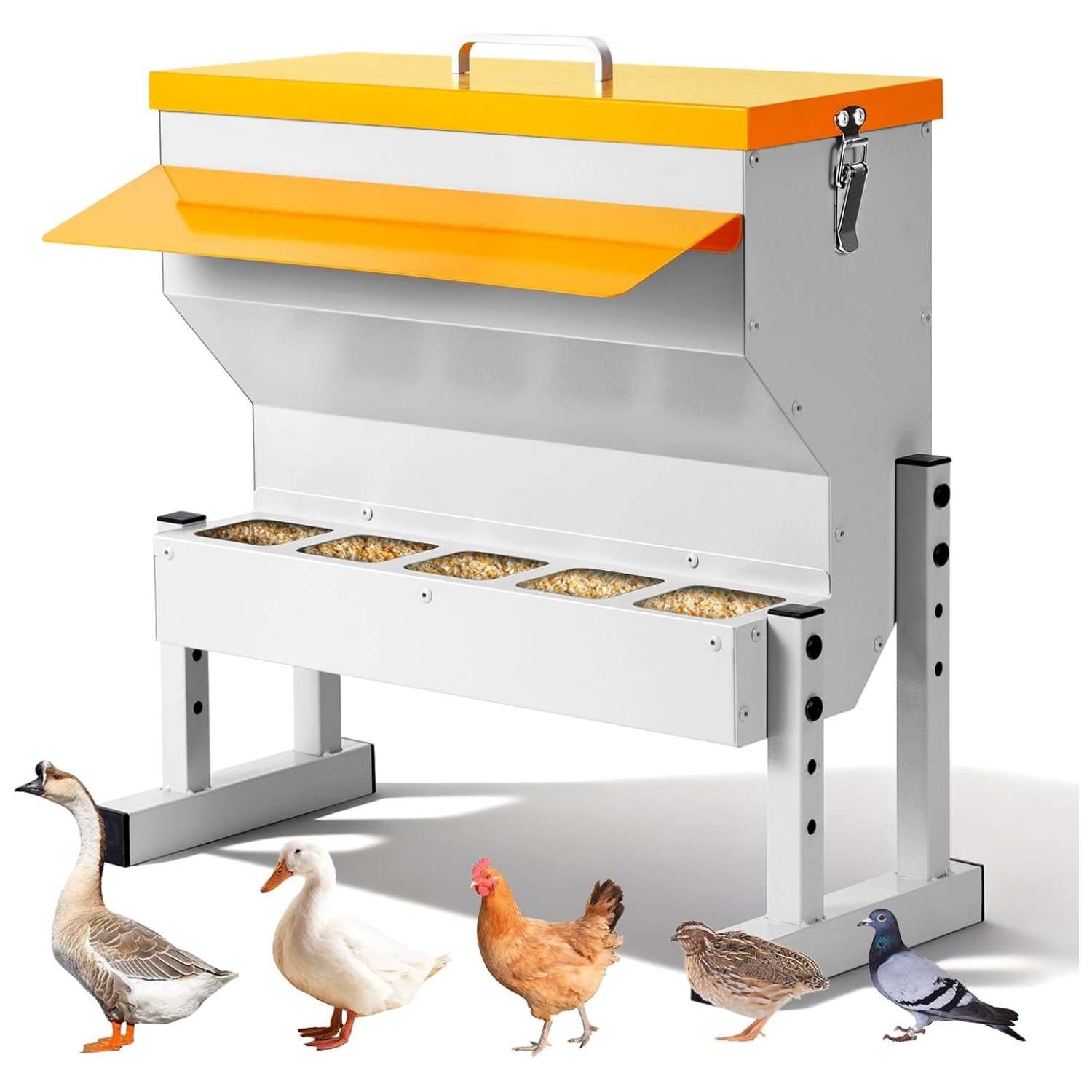 Comedero tolva metalico de 9 kg para gallinas y patos con 5 puertos y patas ajustables anti lluvia.