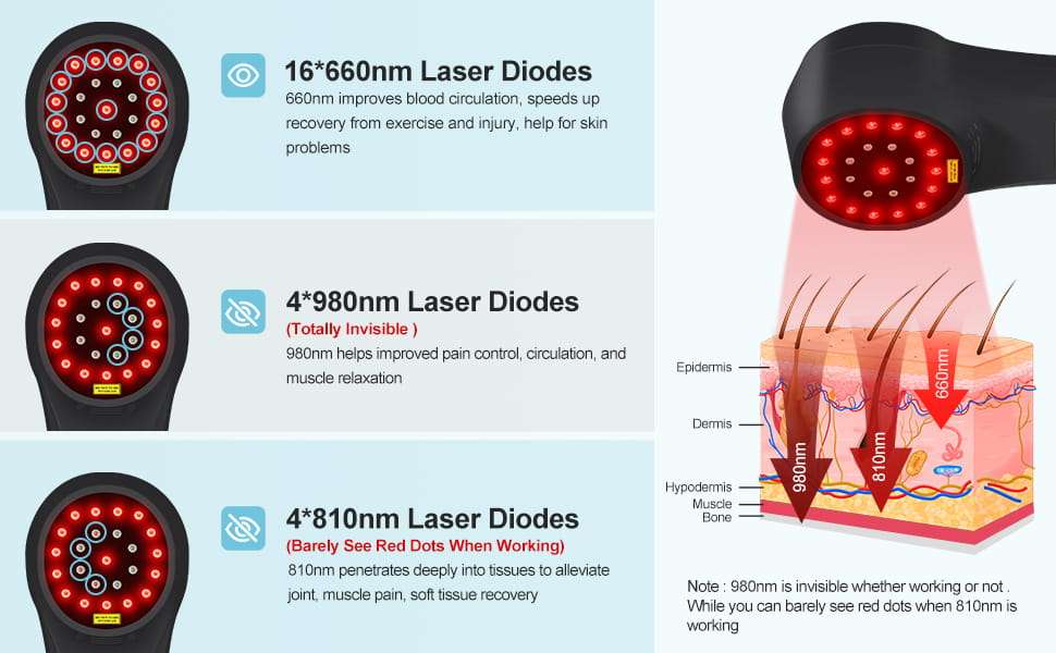 Dispositivo de terapia laser frio veterinario para dolor y artritis en caballos y perros con 3 longitudes de onda