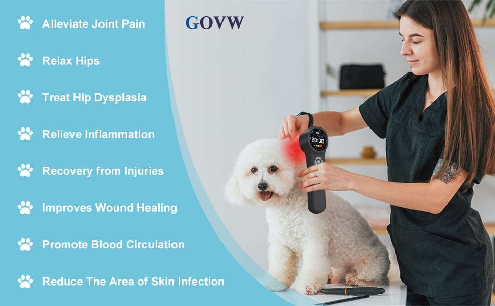 Dispositivo de terapia laser frio veterinario para dolor y artritis en caballos y perros con 3 longitudes de onda