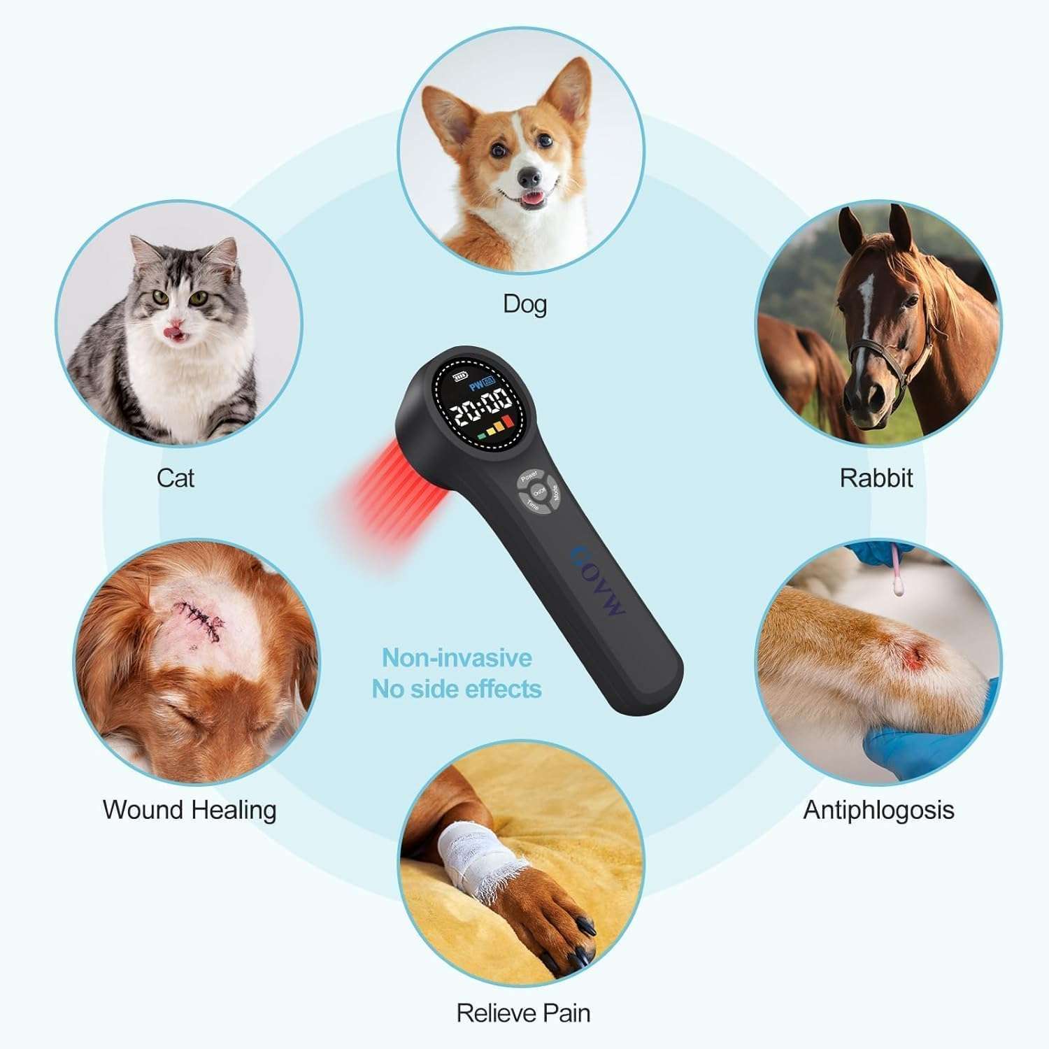 Dispositivo de terapia laser frio veterinario para dolor y artritis en caballos y perros con 3 longitudes de onda