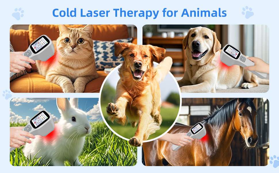 Equipo laser terapeutico veterinario profesional 4 longitudes de onda con pantalla tactil para artritis