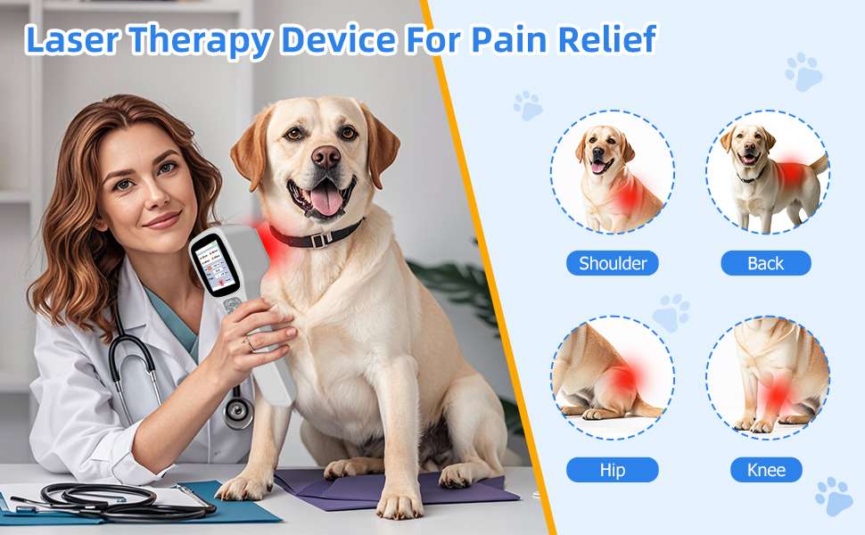 Equipo laser terapeutico veterinario profesional 4 longitudes de onda con pantalla tactil para artritis