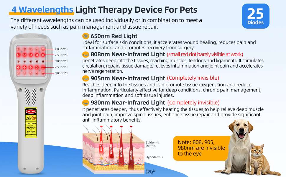 Equipo laser terapeutico veterinario profesional 4 longitudes de onda con pantalla tactil para artritis