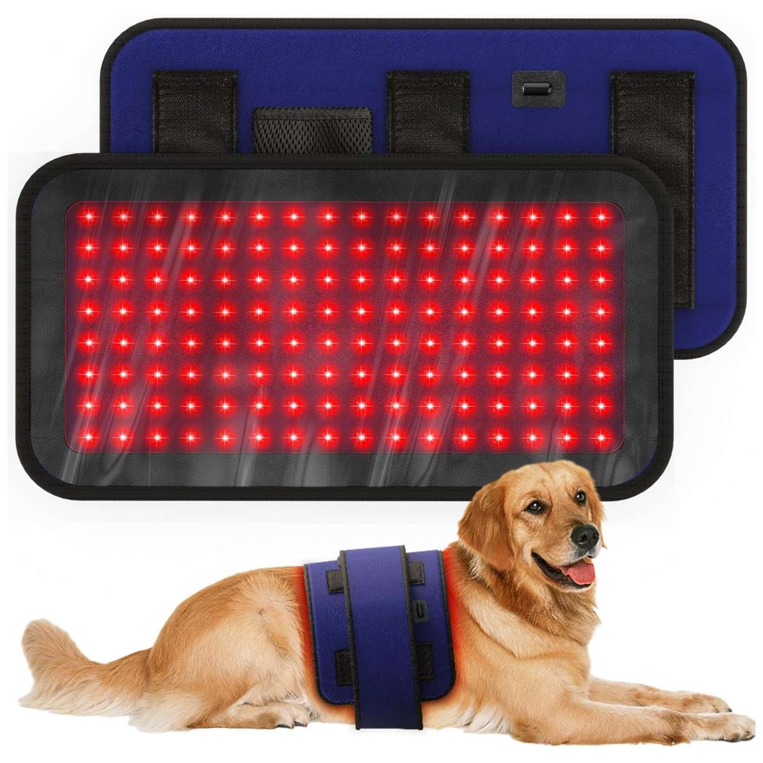 Faja terapeutica veterinaria infrarroja para dolor de columna y cadera en perros con conexion usb