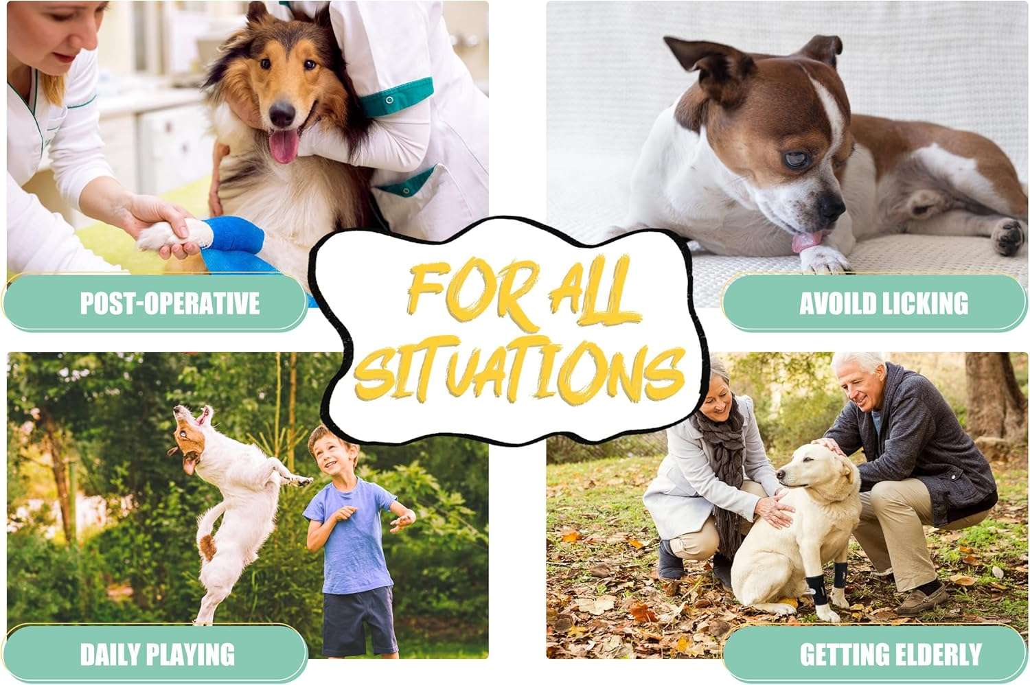 Ferula ortopedica perro pata delantera muñequera carpo soporte metal artritis