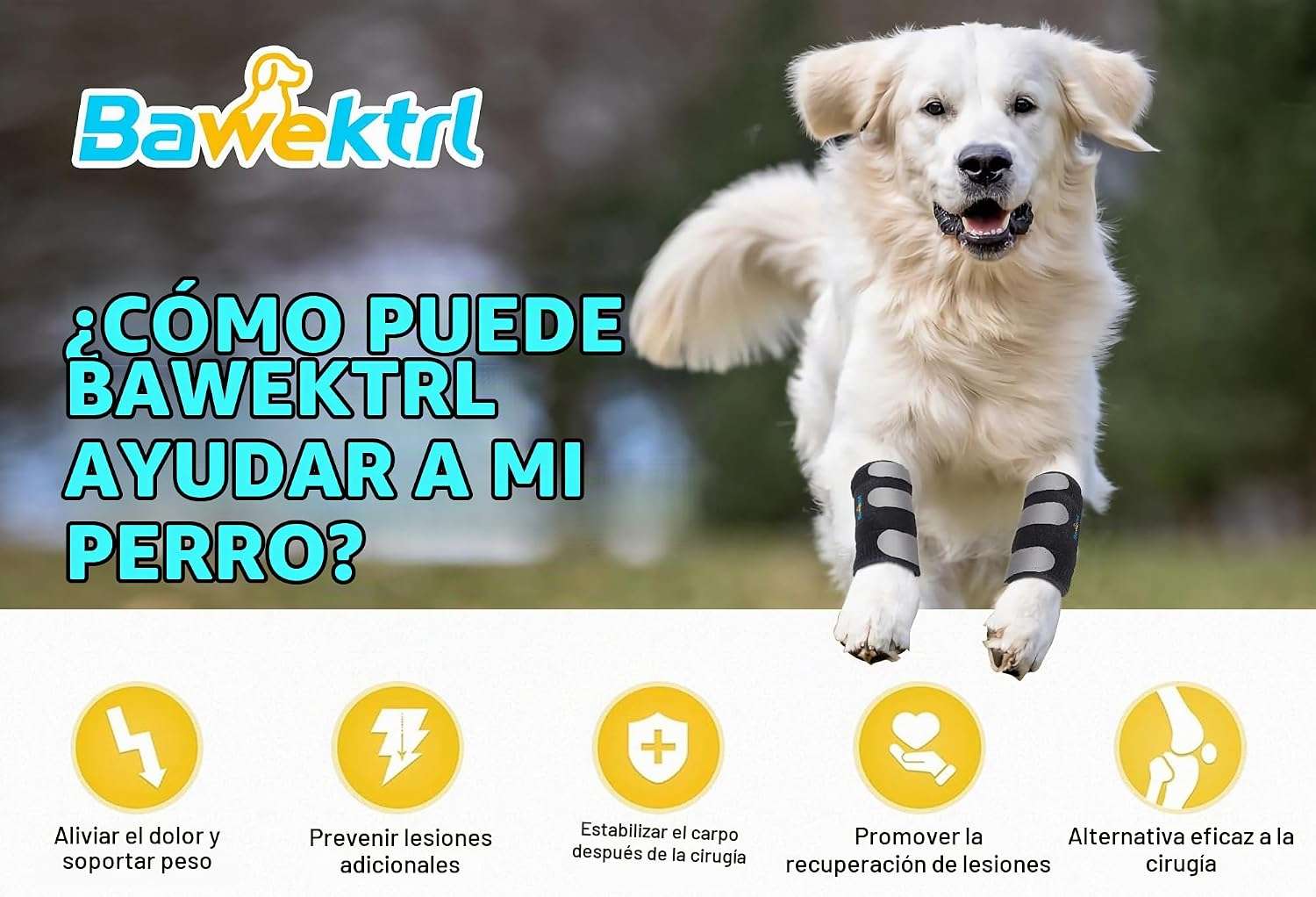 Ferula ortopedica perro pata delantera muñequera carpo soporte metal artritis esguince