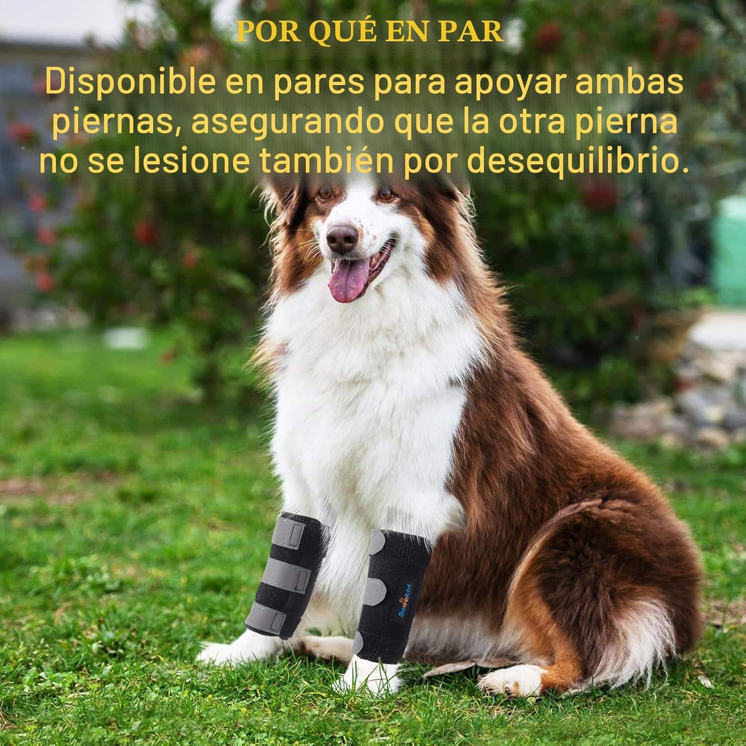 Ferula ortopedica perro pata delantera muñequera carpo soporte metal artritis esguince
