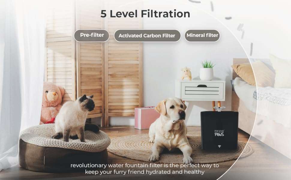 Fuente de agua inteligente WiFi de 2.2 litros transparente con control por App y filtro de 5 etapas.