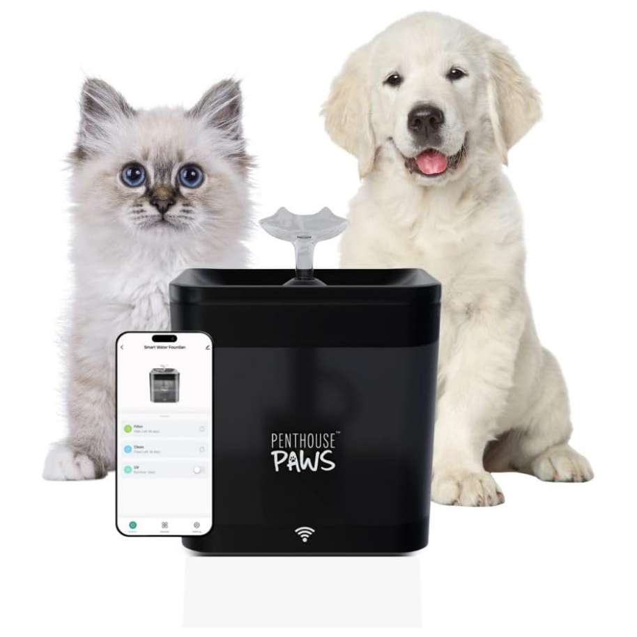 Fuente de agua inteligente WiFi de 2.2 litros transparente con control por App y filtro de 5 etapas.