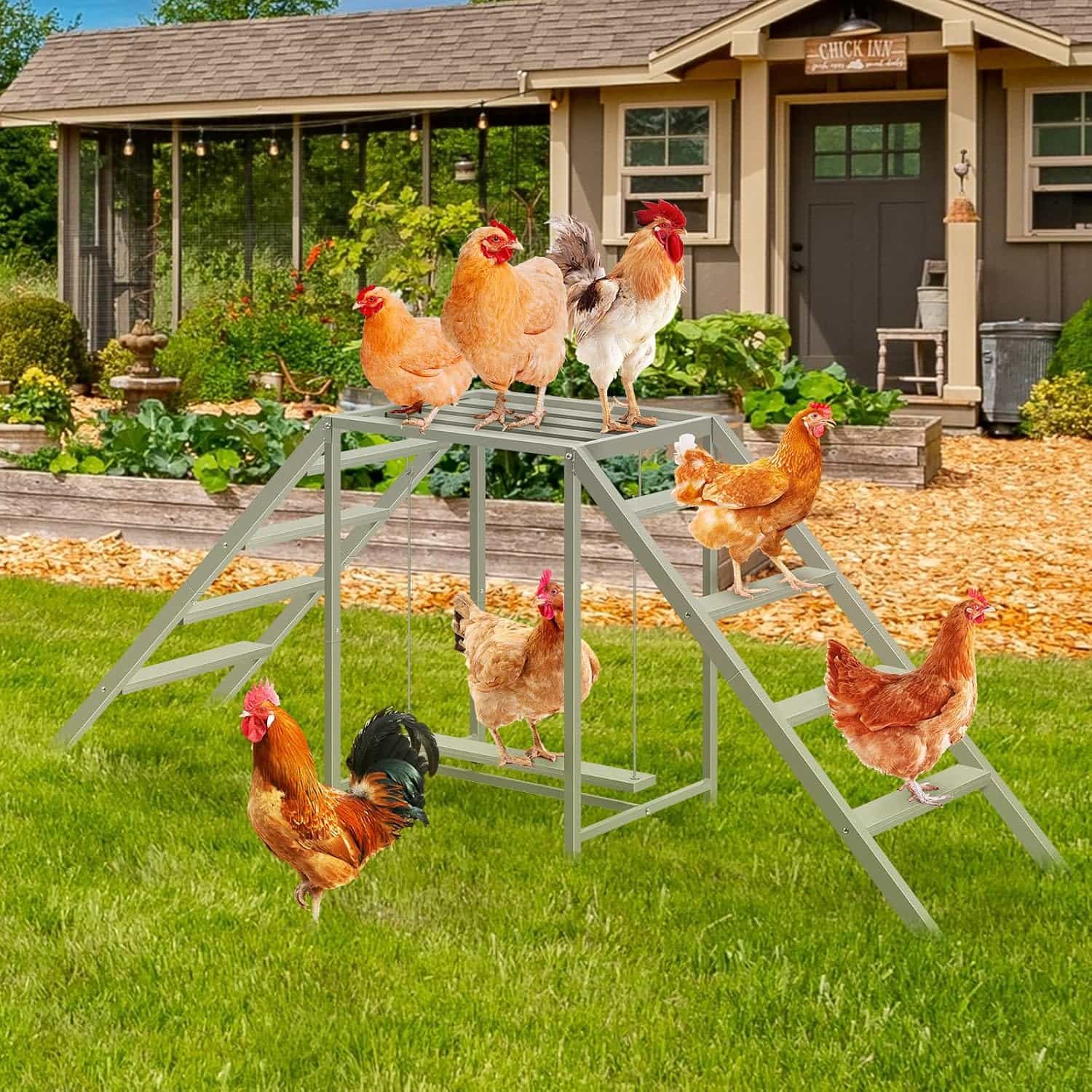 Juego de madera y metal para gallinas de 170 cm con columpio y escaleras para 10 aves