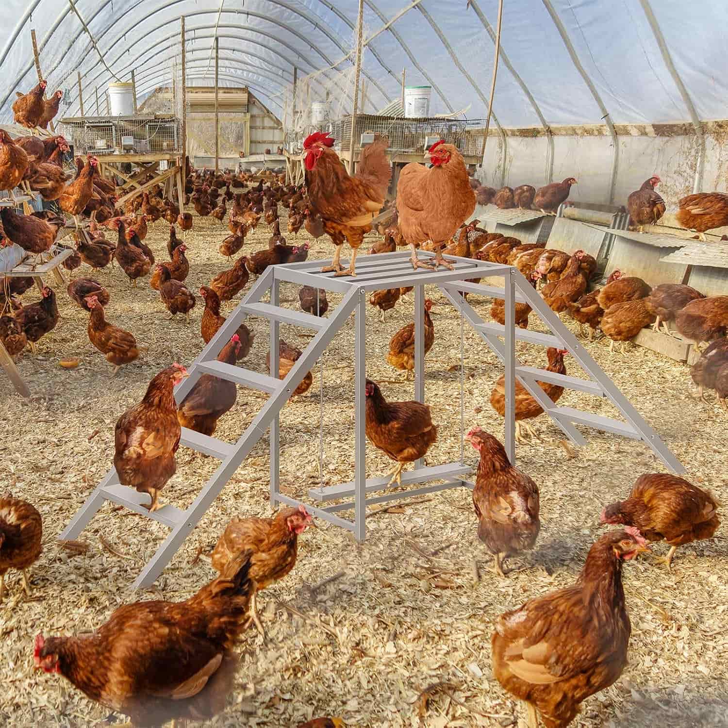 Juego de madera y metal para gallinas de 170 cm con columpio y escaleras para 10 aves