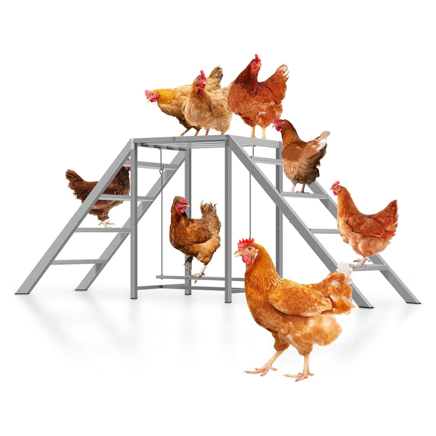 Juego de madera y metal para gallinas de 170 cm con columpio y escaleras para 10 aves