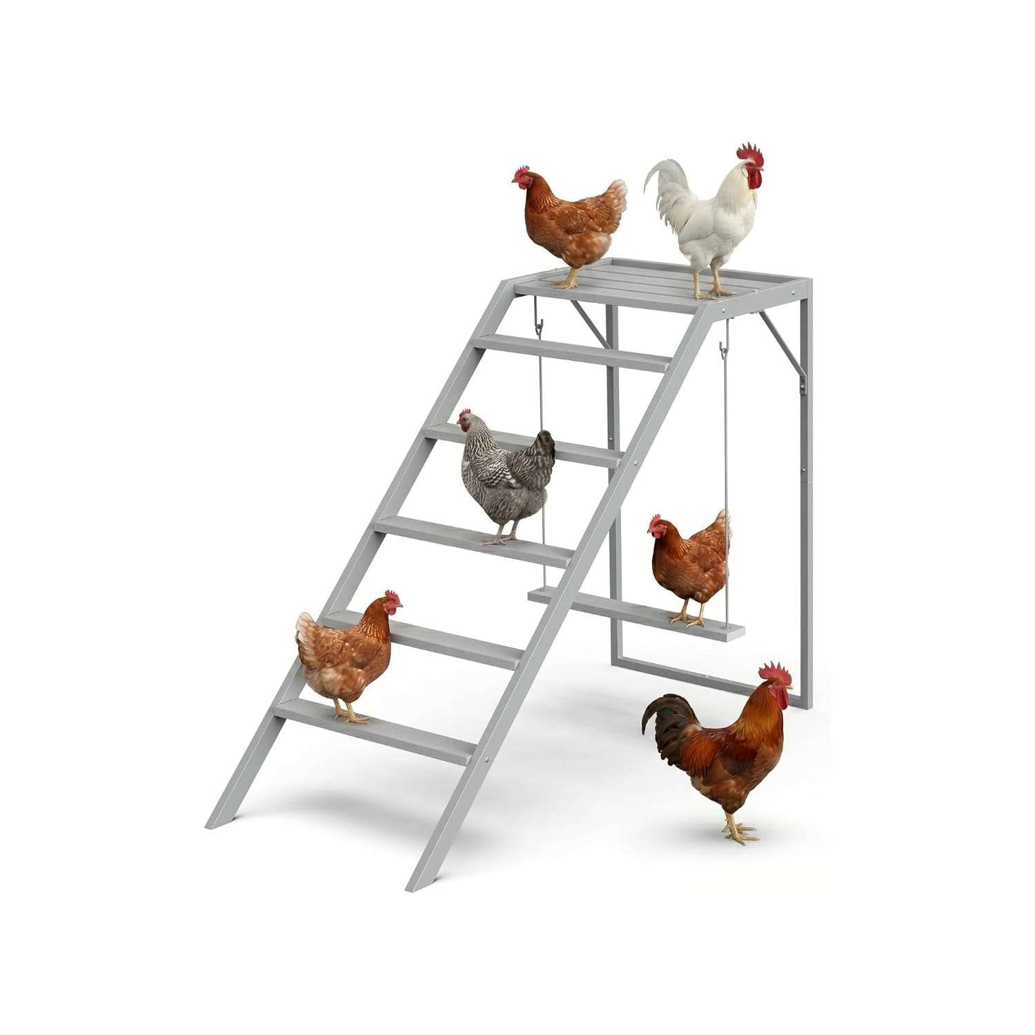 Centro de juegos y percha de madera para gallinas con plataforma columpio y escalera