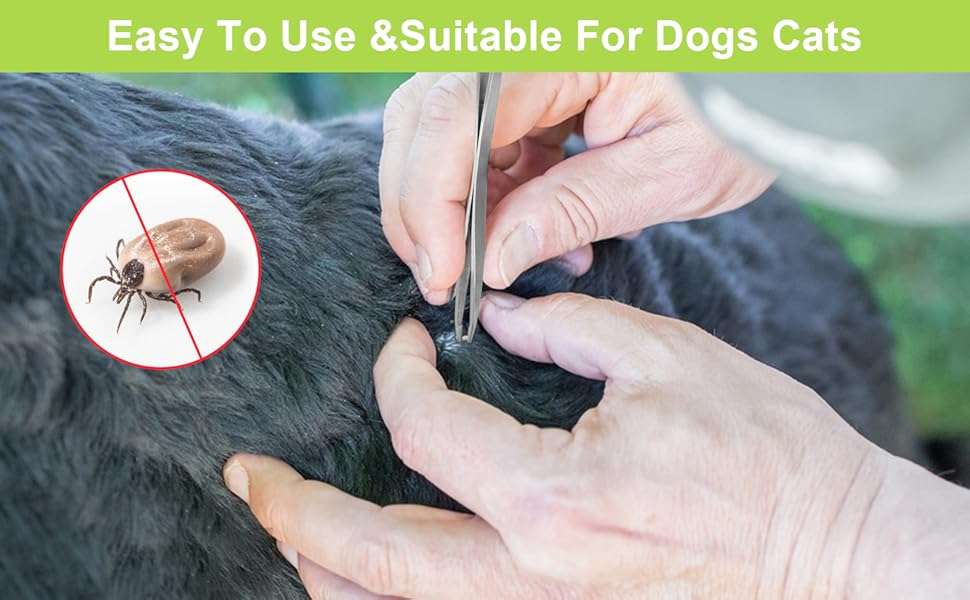 Kit 8 piezas saca garrapatas y pulgas con lupa y pinzas de acero para perros y gatos