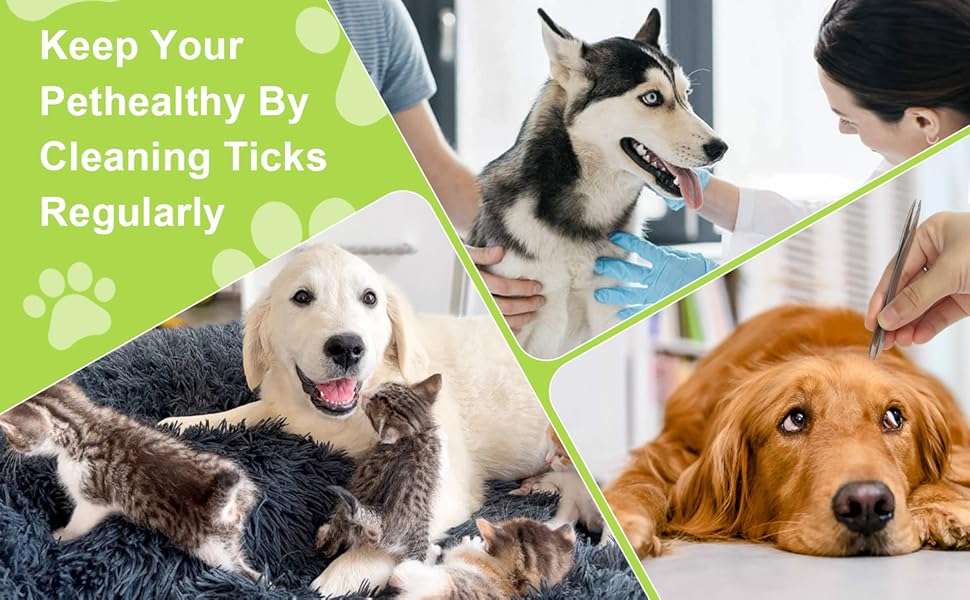 Kit 8 piezas saca garrapatas y pulgas con lupa y pinzas de acero para perros y gatos