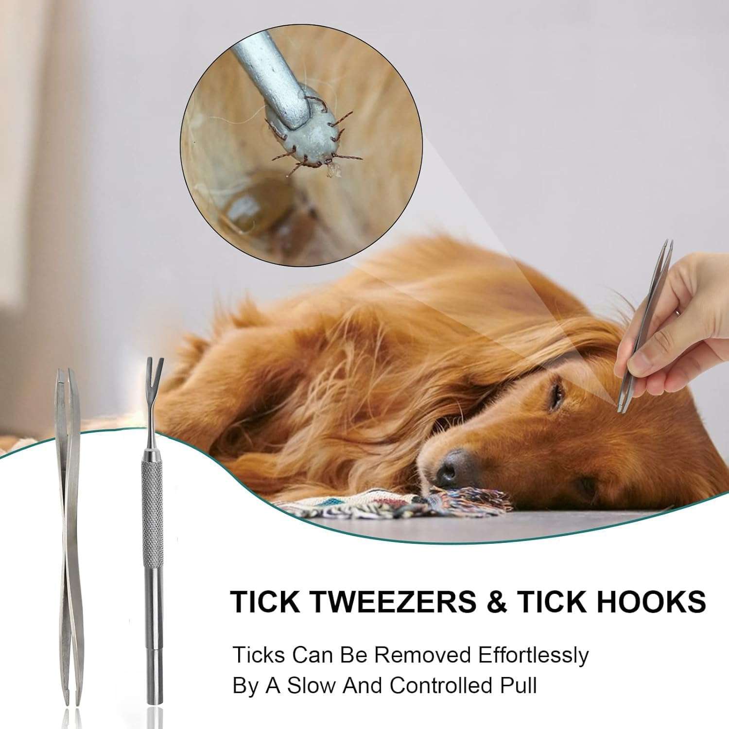 Kit 8 piezas saca garrapatas y pulgas con lupa y pinzas de acero para perros y gatos