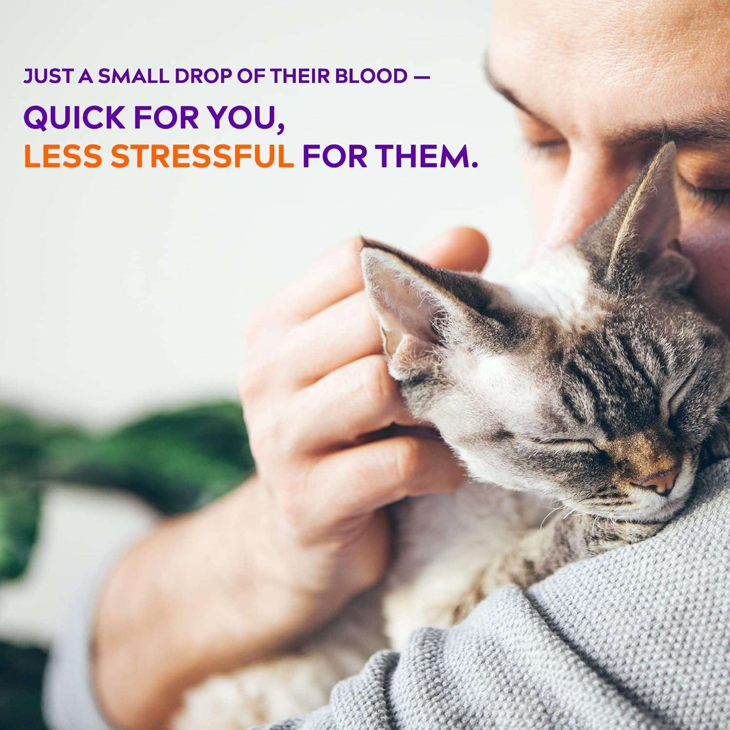 Glucometro veterinario alphatrak 3 kit completo perros gatos app movil diabetes