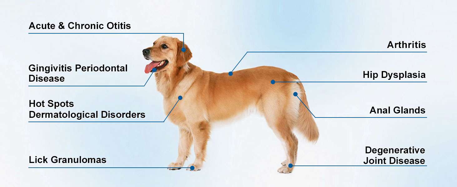Dispositivo laser terapeutico veterinario infrarrojo con bateria de 5000mah para dolor y artritis en mascotas