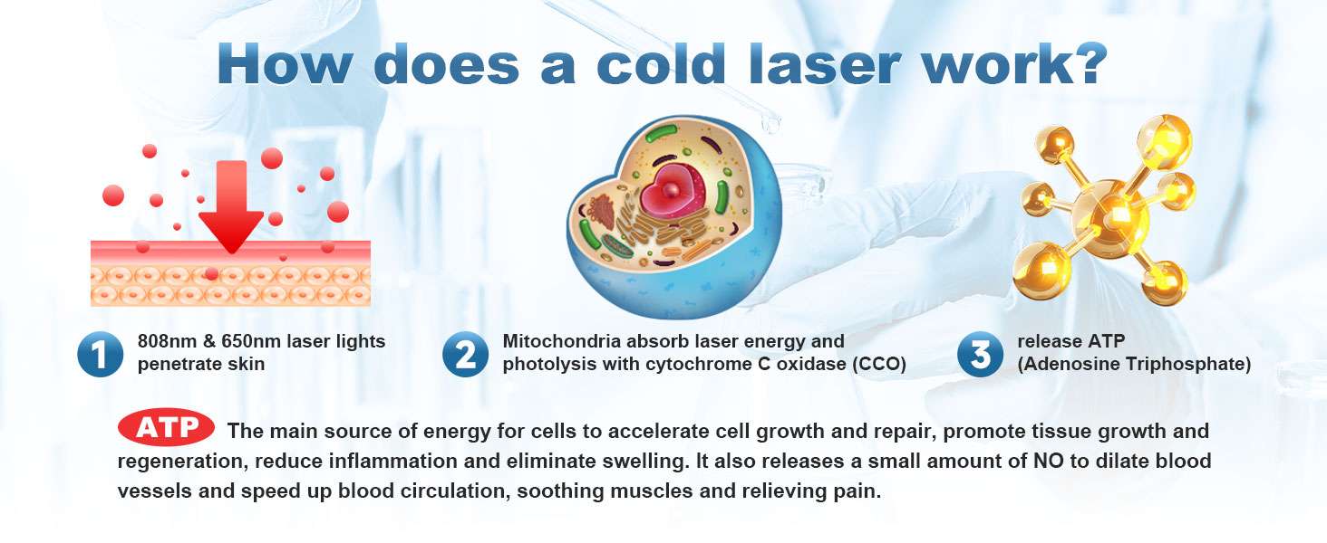 Dispositivo laser terapeutico veterinario infrarrojo con bateria de 5000mah para dolor y artritis en mascotas