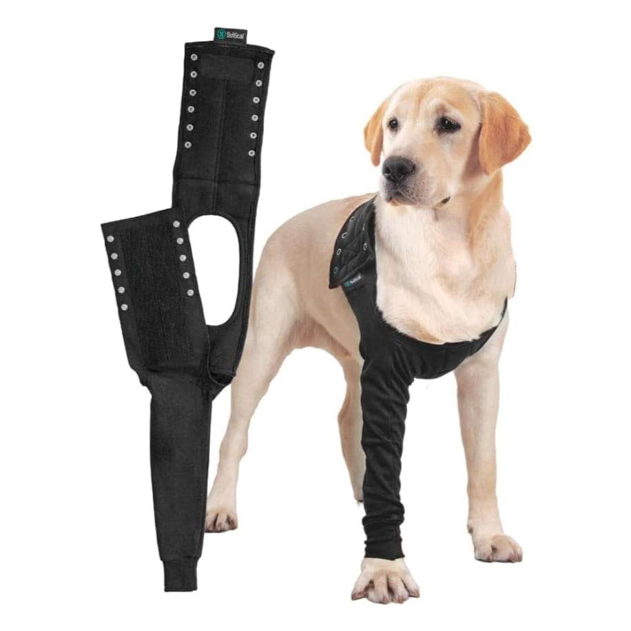 Manga recuperacion pata delantera perro anti lamido alternativa cono isabelino suitical
