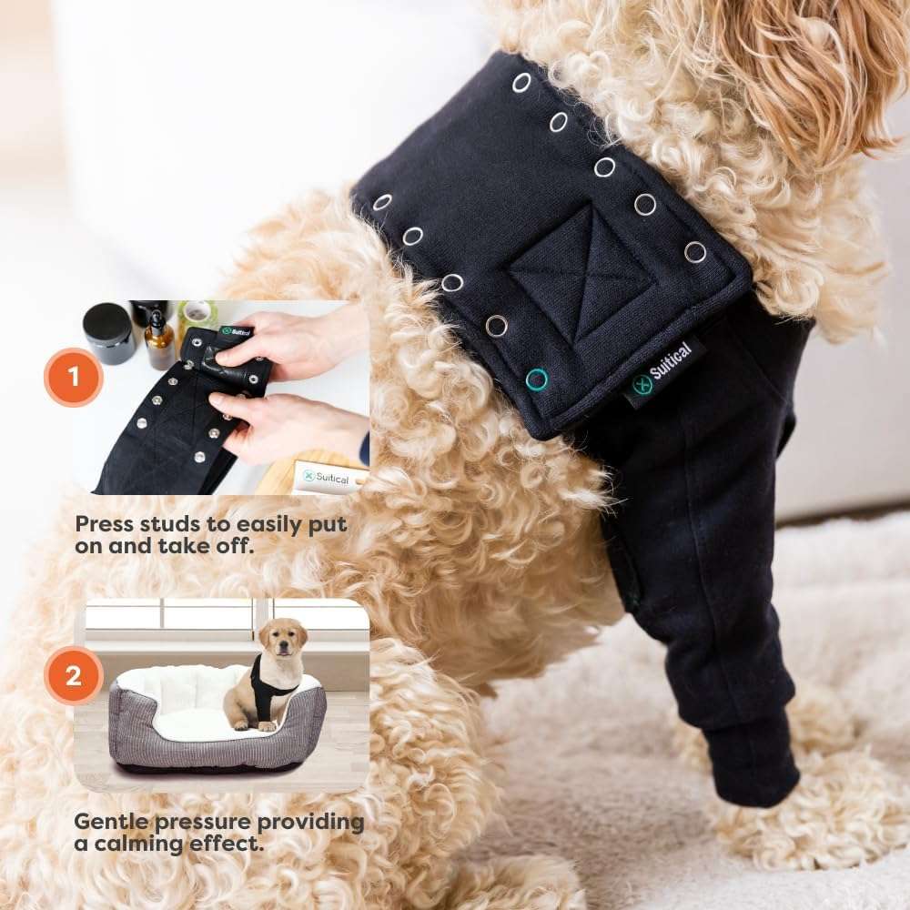 Manga recuperacion pata delantera perro anti lamido alternativa cono isabelino suitical