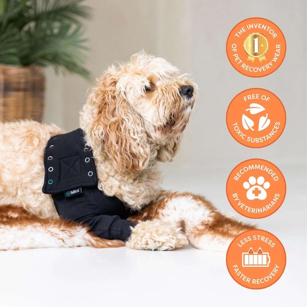 Manga recuperacion pata delantera perro anti lamido alternativa cono isabelino suitical