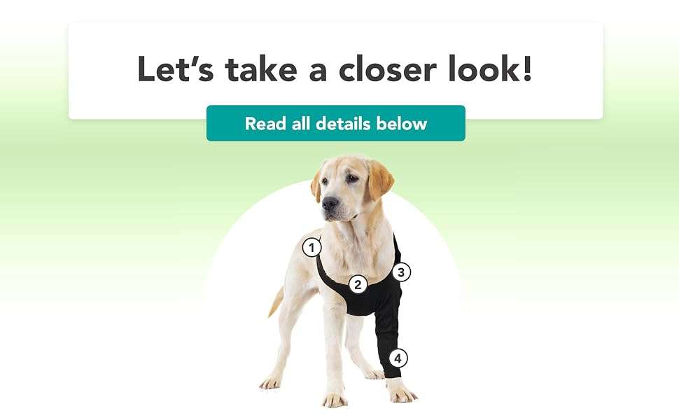 Manga recuperacion pata delantera perro anti lamido alternativa cono isabelino suitical