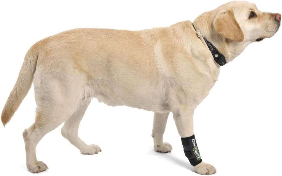 Muñequera Ortopédica Perro (Carpo) con Efecto Térmico - Soporte para Artritis y Ligamentos (XXS a XL) - Imagen 2