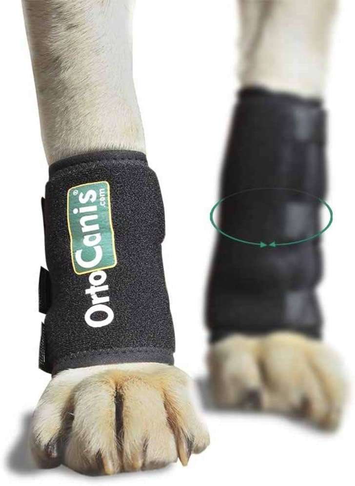 Muñequera ortopedica perro carpo termica neopreno artritis ligamentos pata delantera