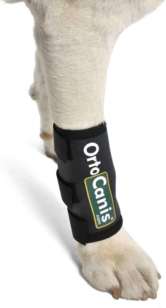 Muñequera ortopedica perro carpo termica neopreno artritis ligamentos pata delantera