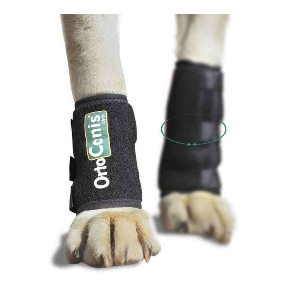 Muñequera ortopedica perro carpo termica neopreno artritis ligamentos pata delantera