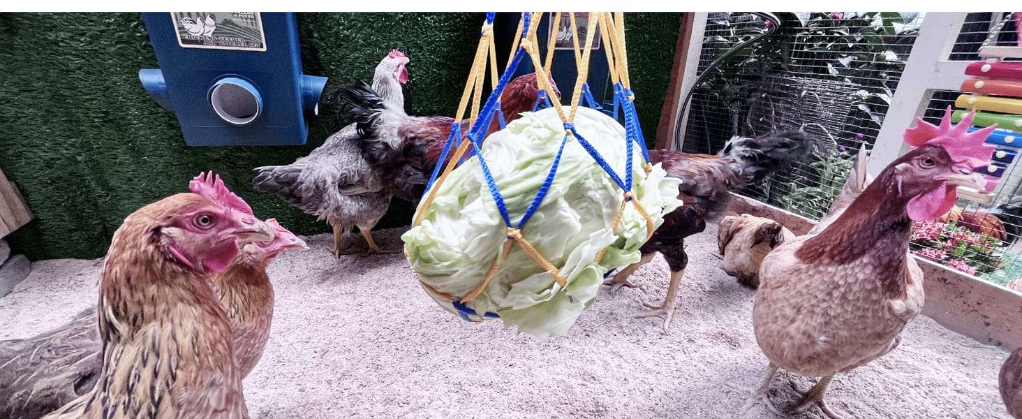 Pack de 2 bebederos de 15 litros cada uno para gallinas con tazas automaticas y sistema colgante.