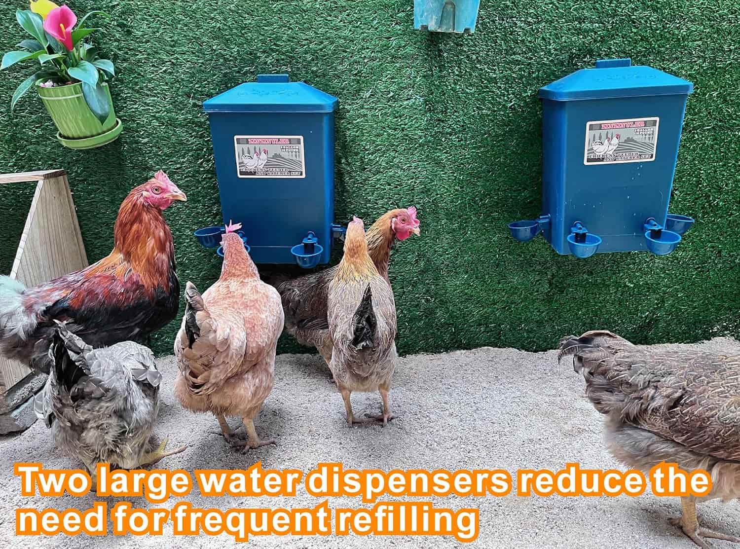 Pack de 2 bebederos de 15 litros cada uno para gallinas con tazas automaticas y sistema colgante.
