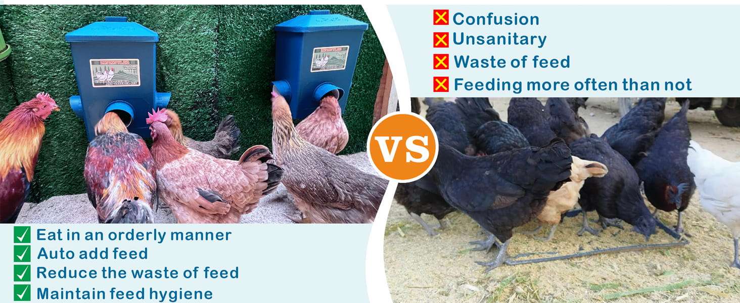 Pack de 2 comederos de 7 kg cada uno para gallinas anti lluvia y anti desperdicio montaje colgante.