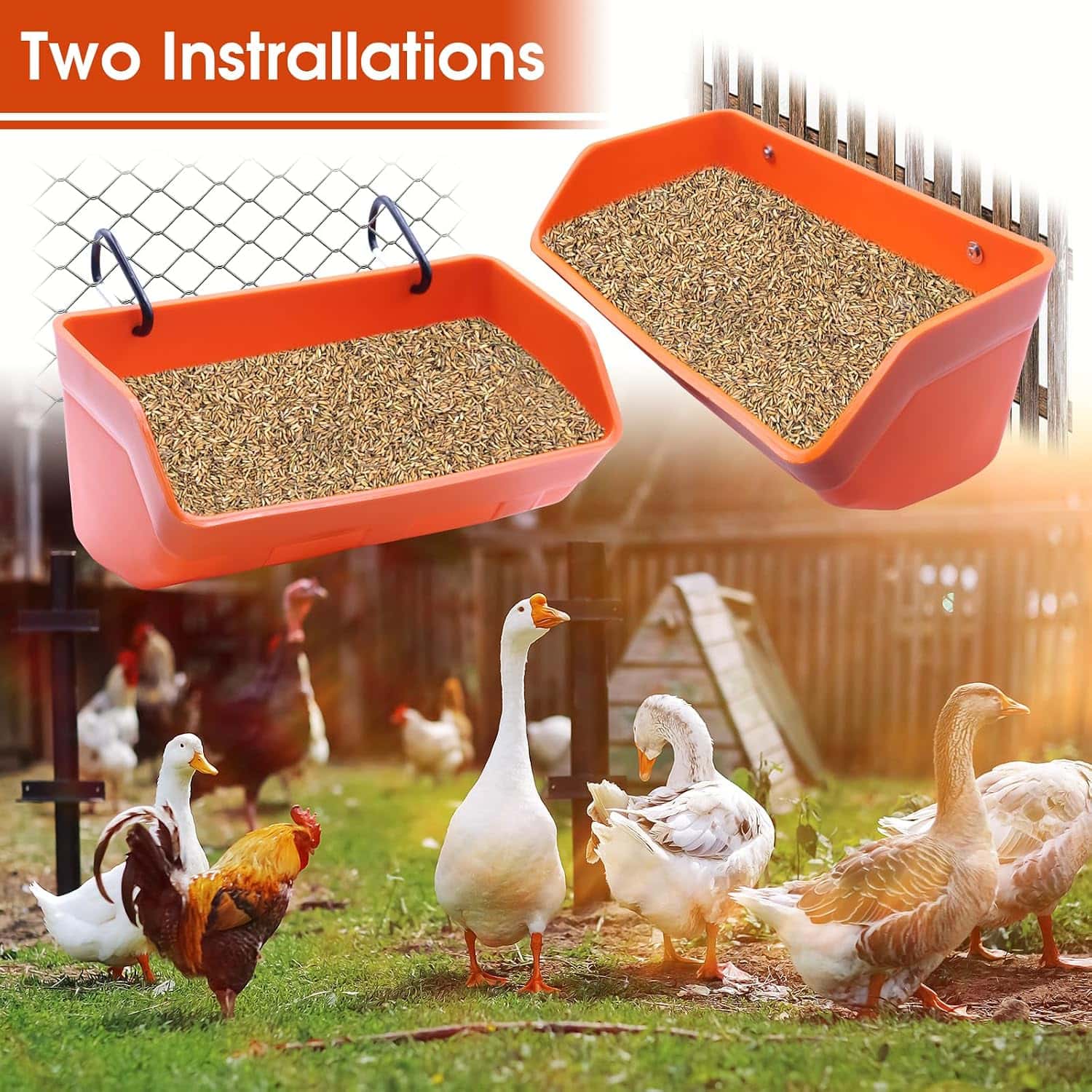Pack de 4 comederos para gallinas de 4 kg tipo cubo colgante o de muro resistentes y anti desperdicio.