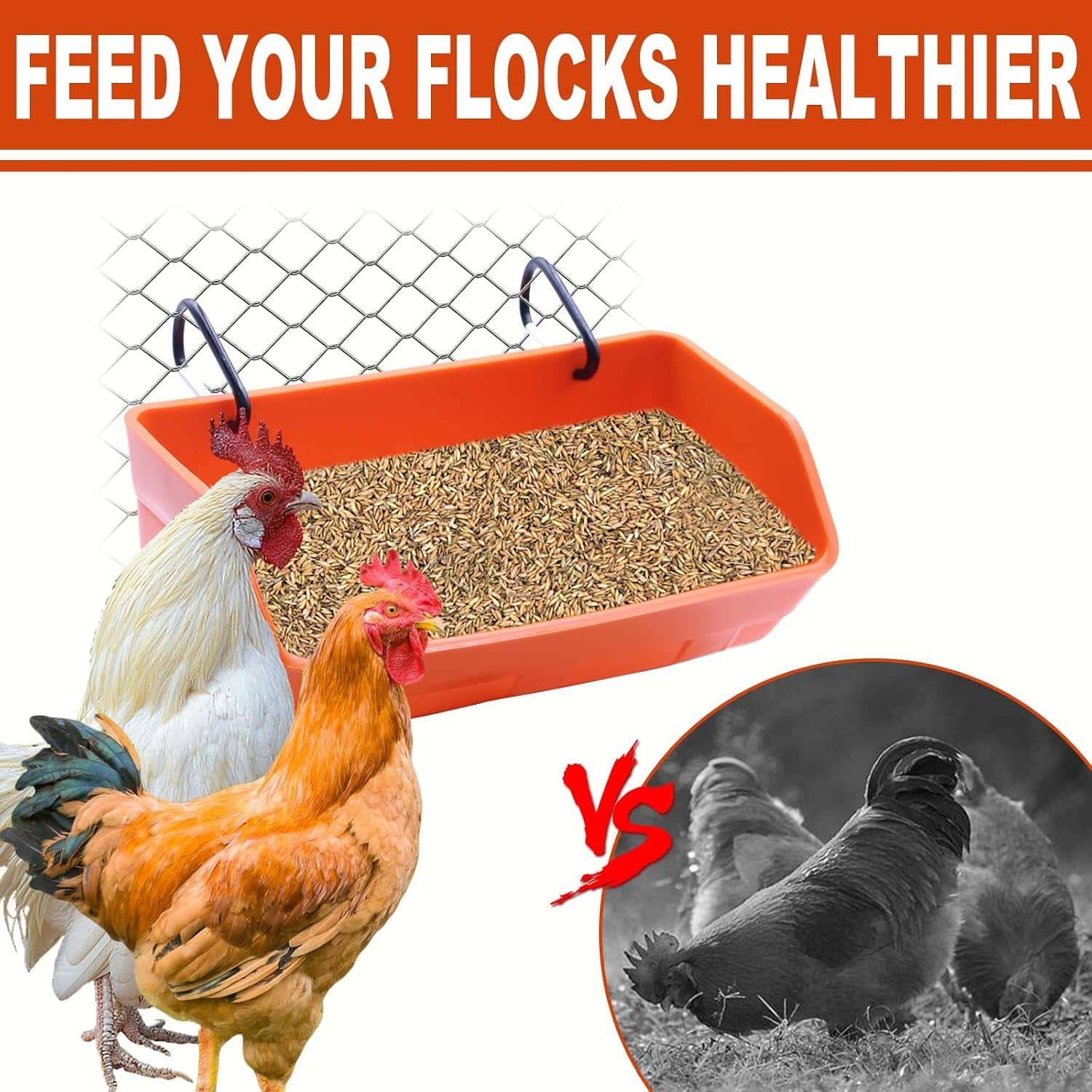 Pack de 4 comederos para gallinas de 4 kg tipo cubo colgante o de muro resistentes y anti desperdicio.
