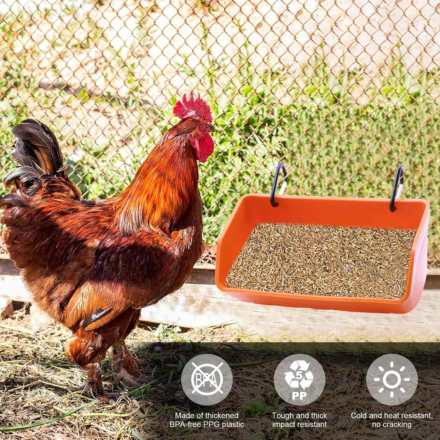 Pack de 4 comederos para gallinas de 4 kg tipo cubo colgante o de muro resistentes y anti desperdicio.